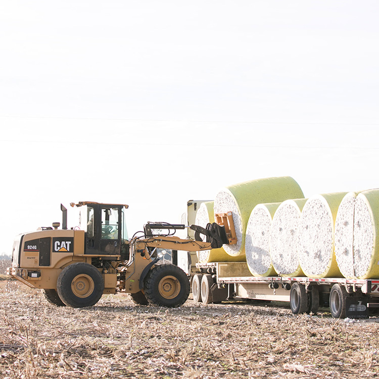 Rural Infrastructure