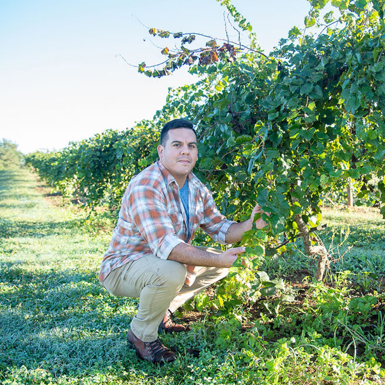 Sustainability in Agriculture
