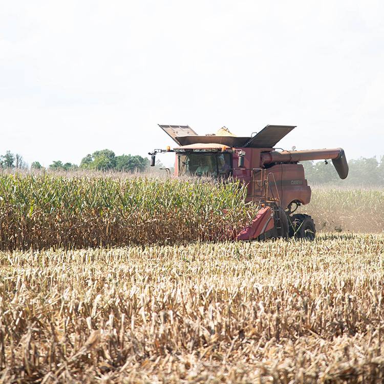 Agriculture Tax Reform