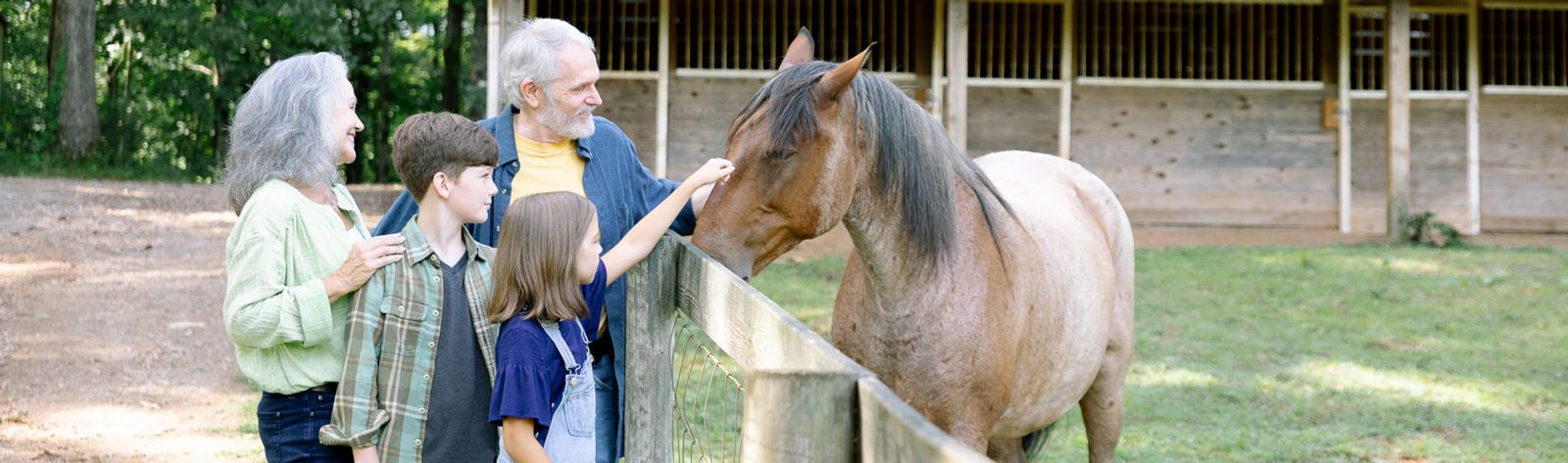 grandparents with grandkids petting horse