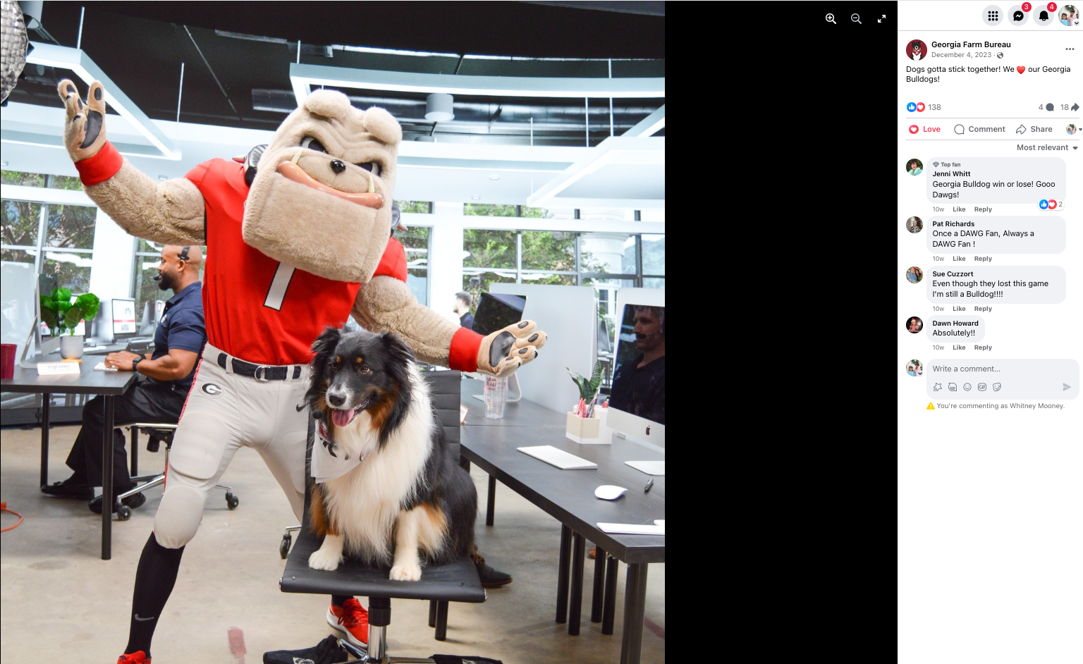 Lucky and Hairy Dog