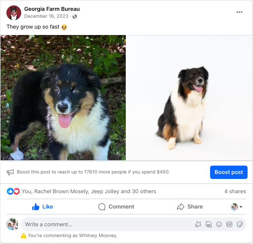 Baby Lucky Social