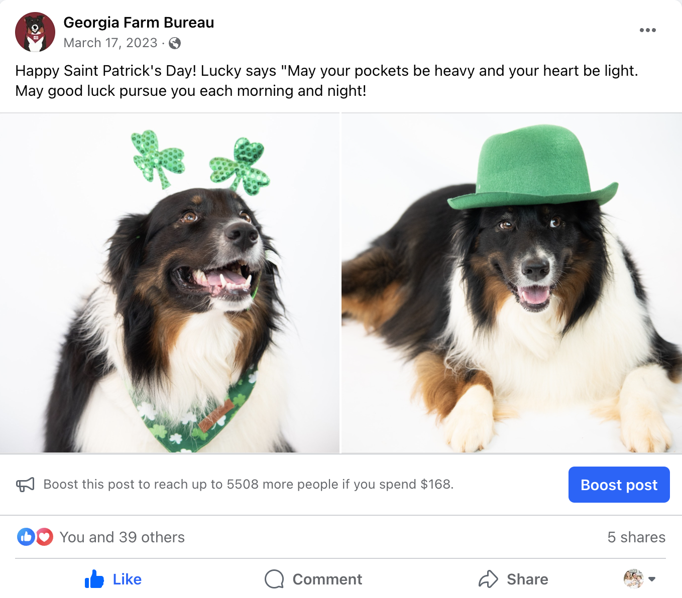 St. Patricks Day