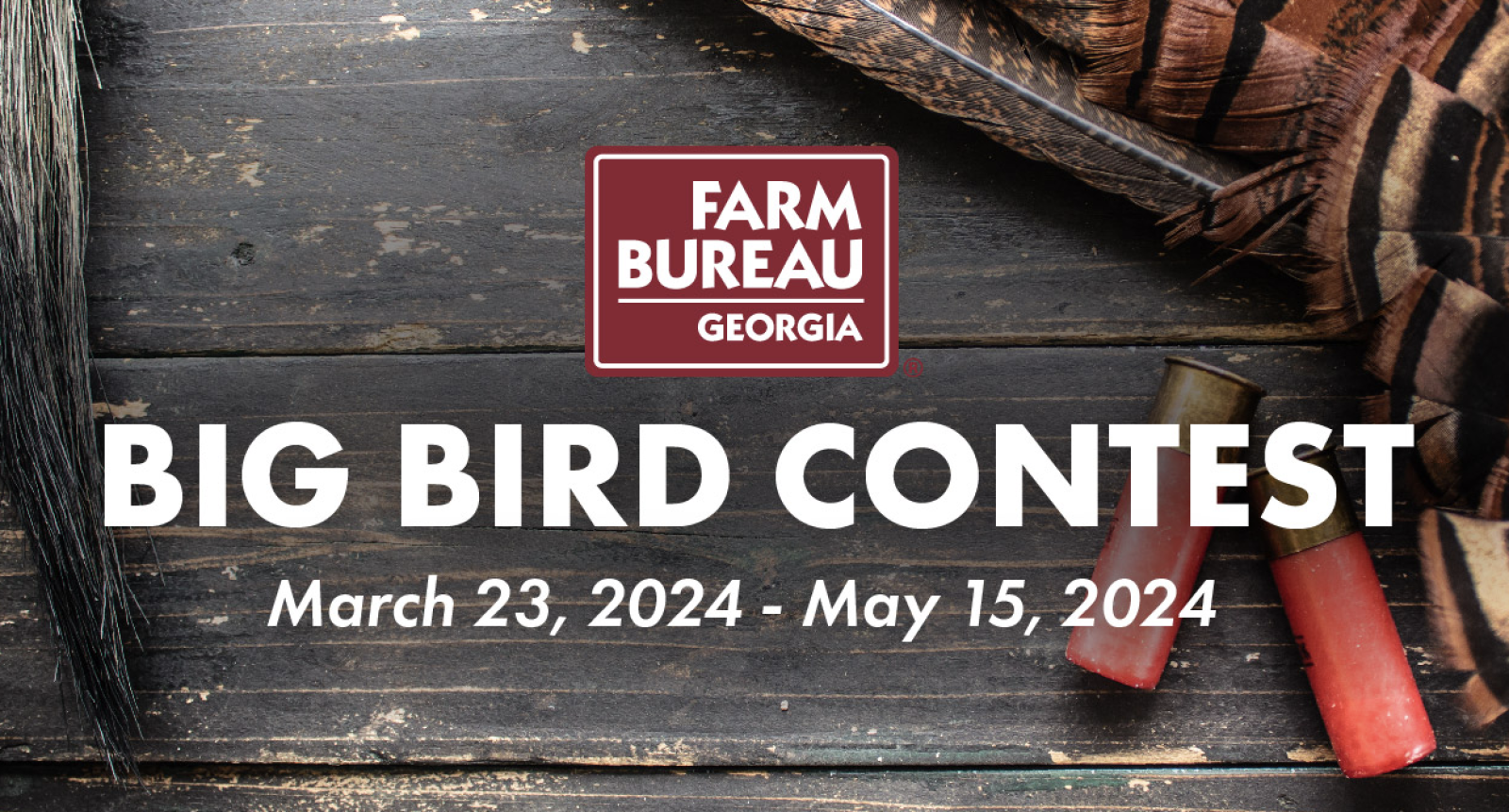 Big Bird Contest