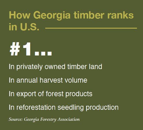 Georgia Farm Bureau News Magazine