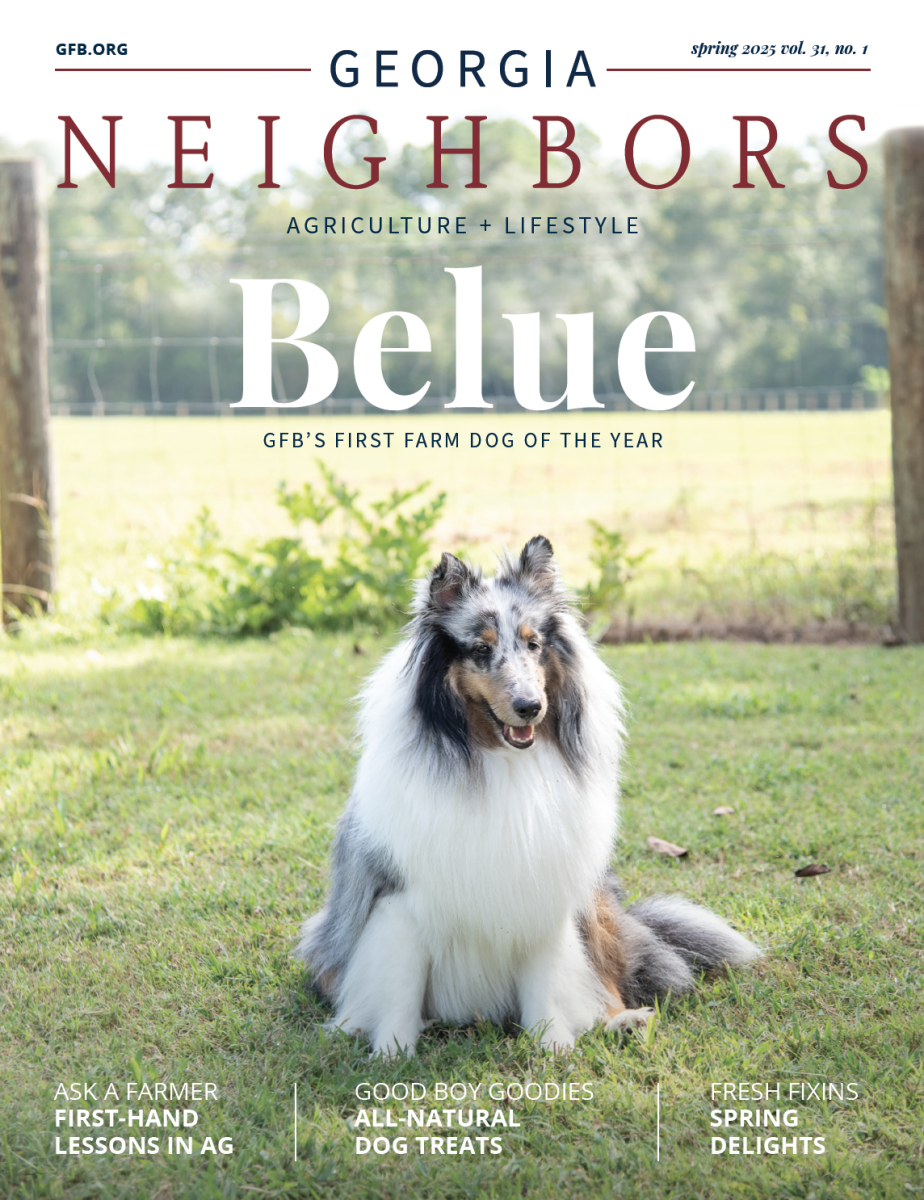 Spring Neighbors