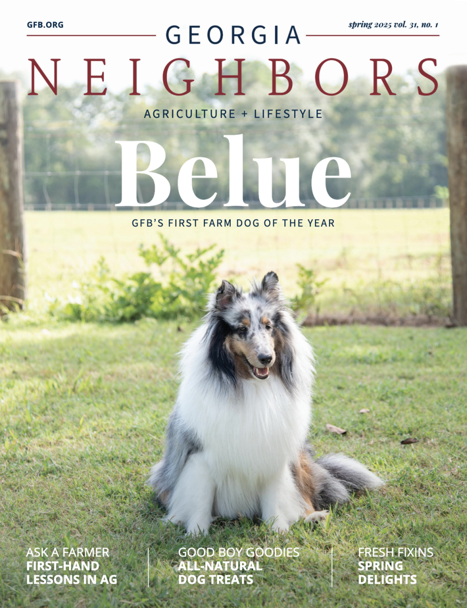 Spring 2024 Georgia Neighbors
