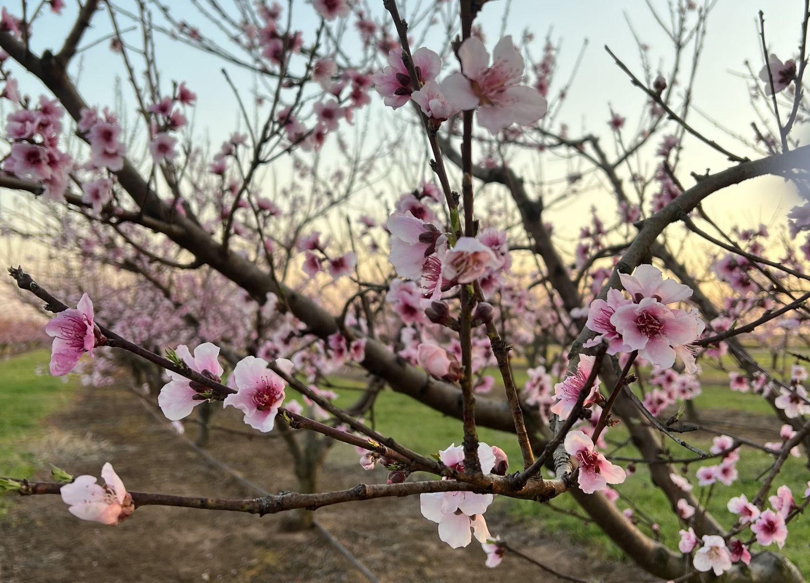 Taylor Outlaw, GFB Photo Contest Winner
