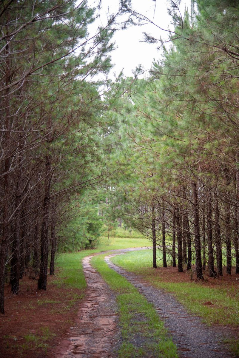 Cherokee Plantation
