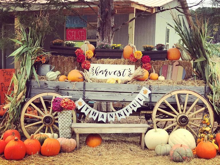 Sleepy Hollow Farm