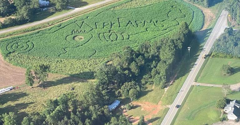 Merk Farms
