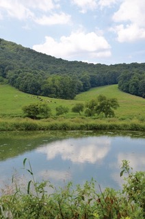 Mountain Valley Farm Store