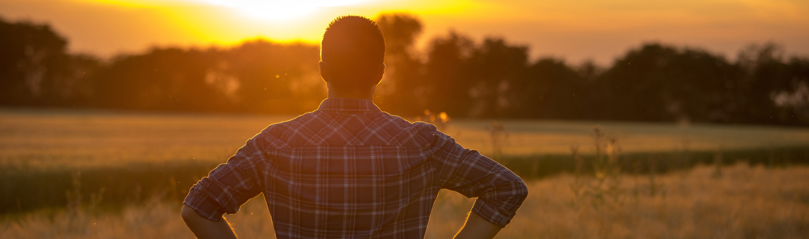 Photo of a farmer