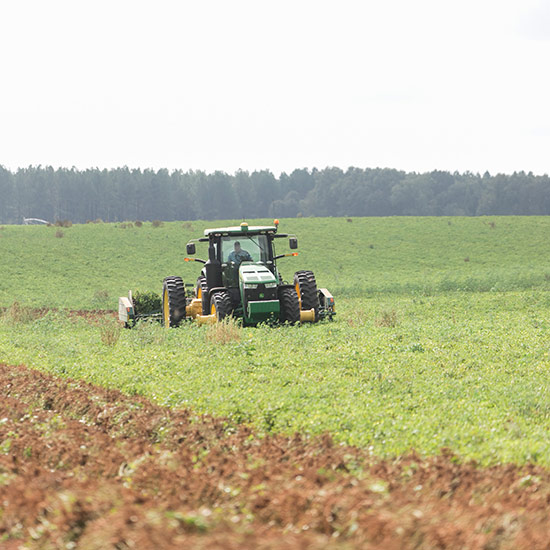 Georgia Farm Bureau provides grassroots support for locally-sourced food