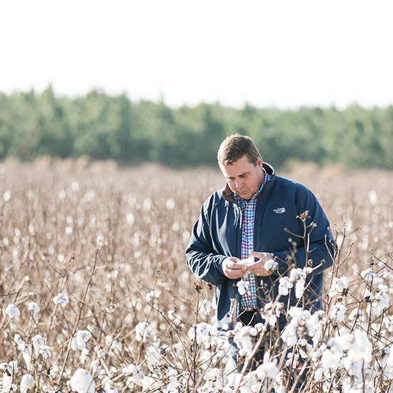 Georgia Farm Bureau provides grassroots support for Georgia's economy