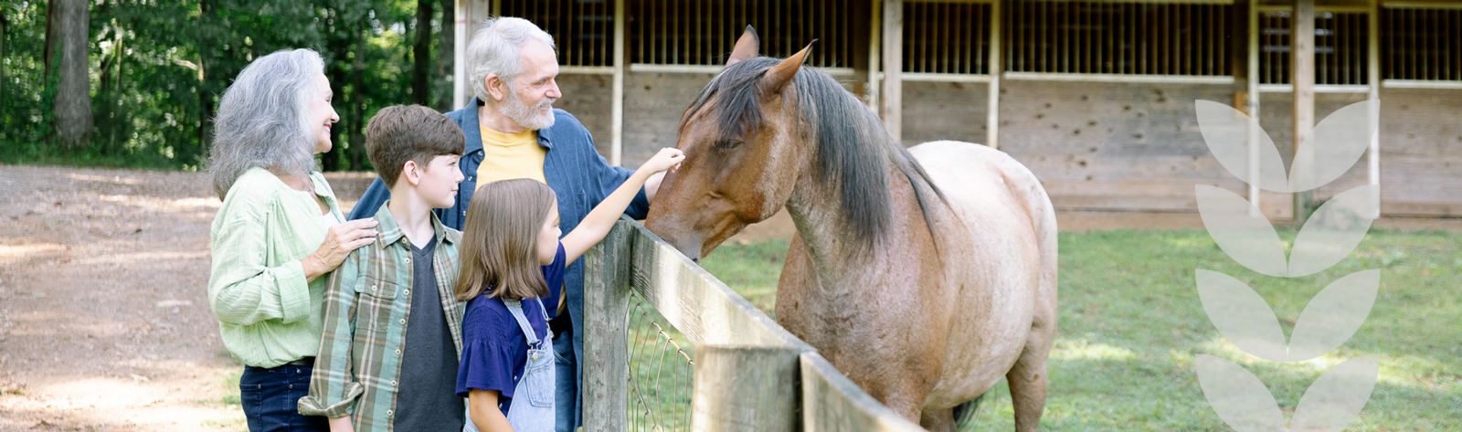 grandparents with grandkids petting horse