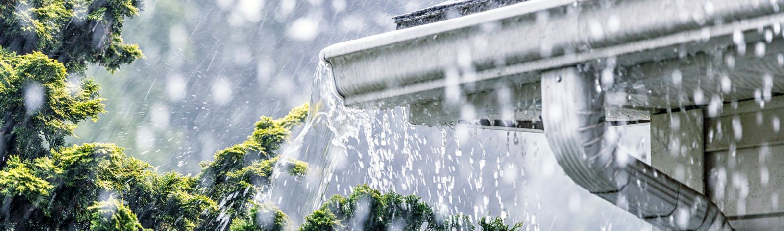 Spring Storms Image