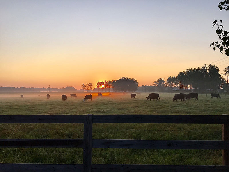 Photo contest runner-up