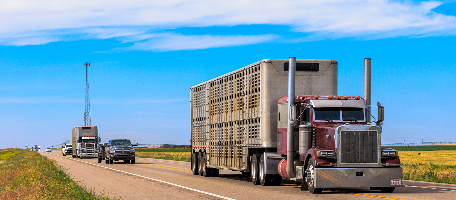 Georgia Ag Commissioner Announces New Animal Import Requirements