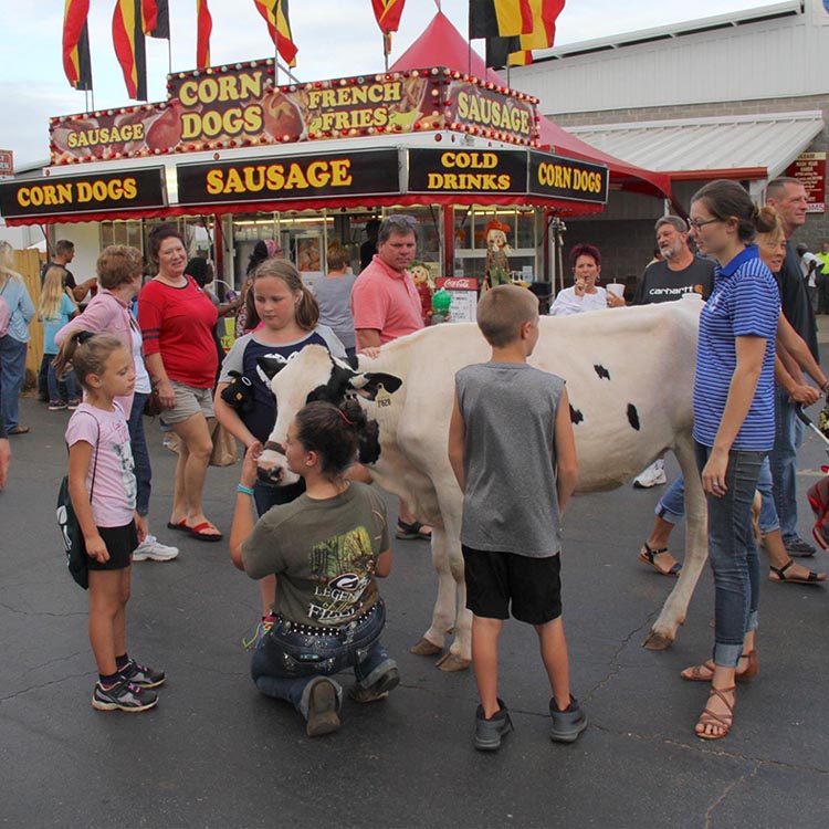 Georgia National Fair attendance tops 467,000