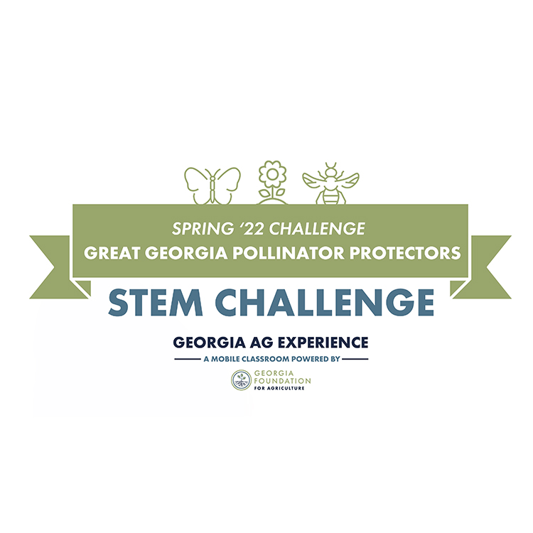 Georgia Ag Experience STEM Challenge focuses on pollinators