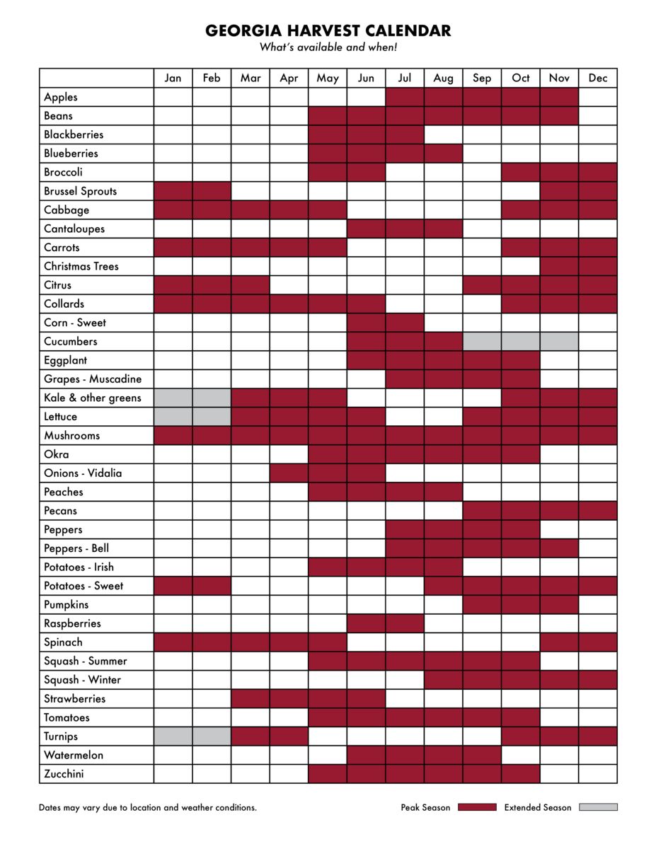 Seasonal Vegetable Chart Georgia