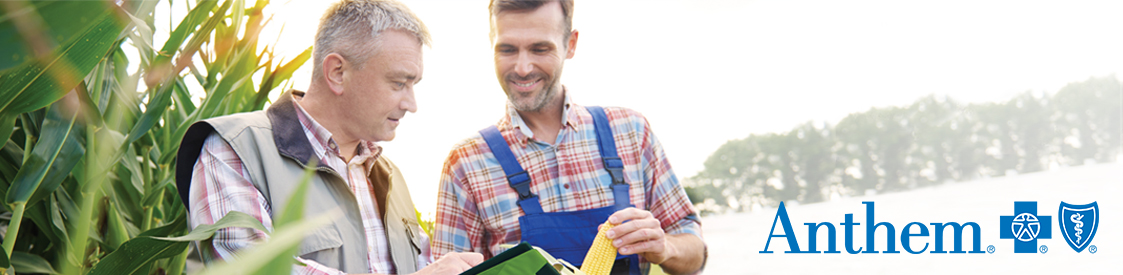 Blue Cross Blue Shield Health Insurance Plans Georgia