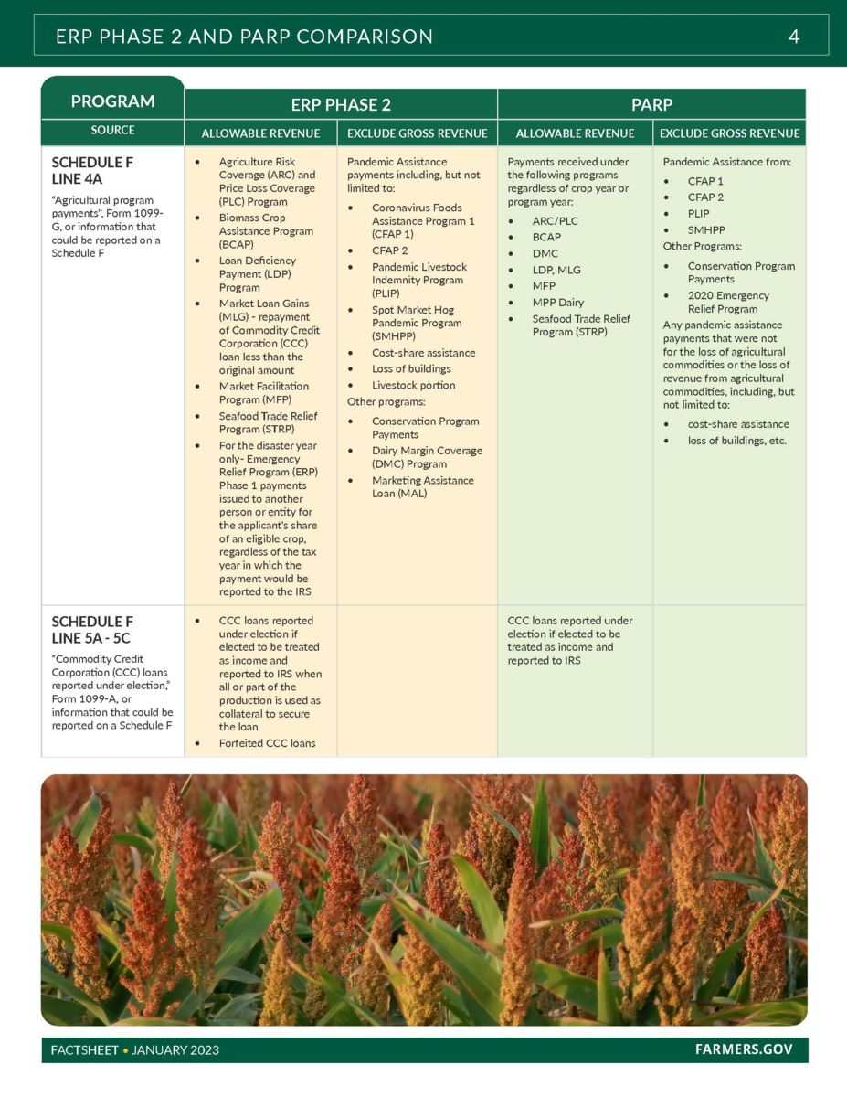 FSA Revenue Loss Assistance Page 4
