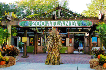 Zoo Atlanta images