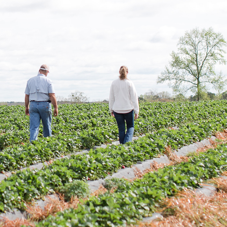 Celebrate Georgia Ag Week With Us