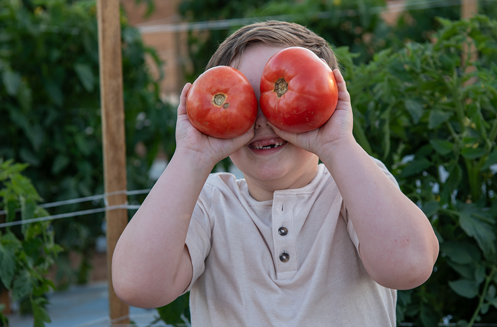 Kid holding tomatoes