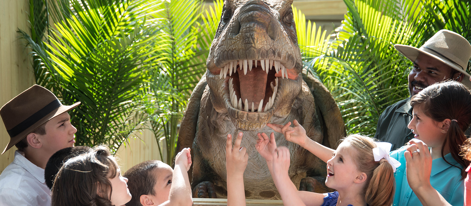 A Summer of Wild Adventures